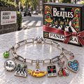 TBE Silver Charm Bracelet Set NTVA